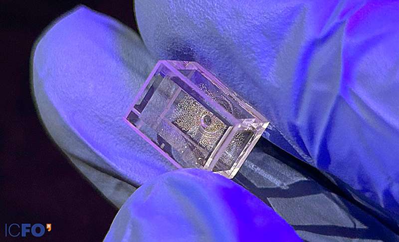 原子传感器揭示了分子极化的隐藏动力学